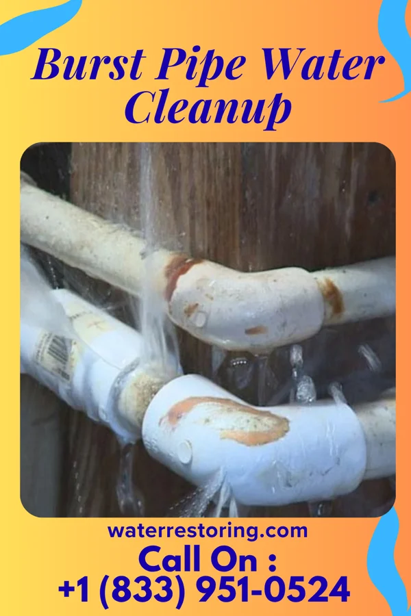 Burst Pipe Water Cleanup in Blackey, KY