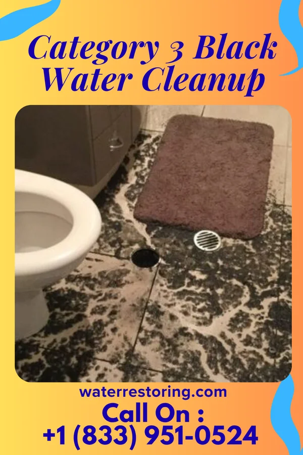Category 3 Black Water Cleanup in Blackey, KY