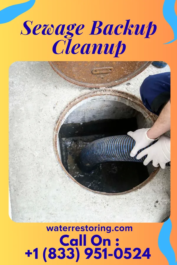 Sewage Backup Cleanup in Blackey, KY