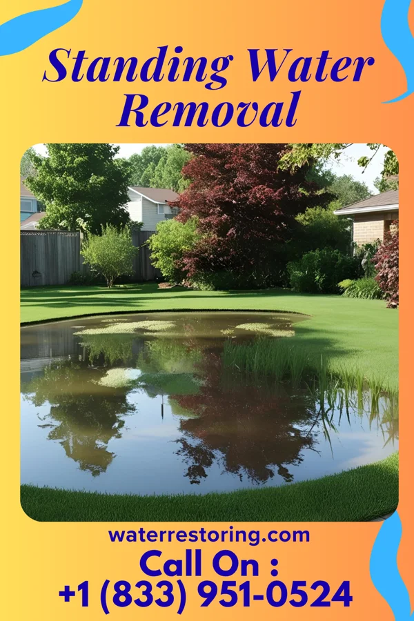 Standing Water Removal in Blackey, KY